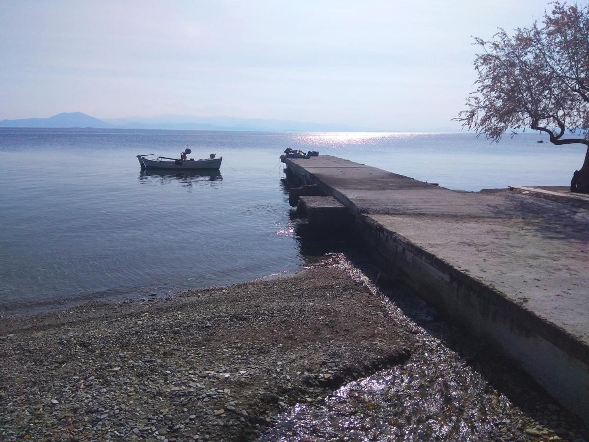 Marina Traditional Stonehouse Afetai Bagian luar foto